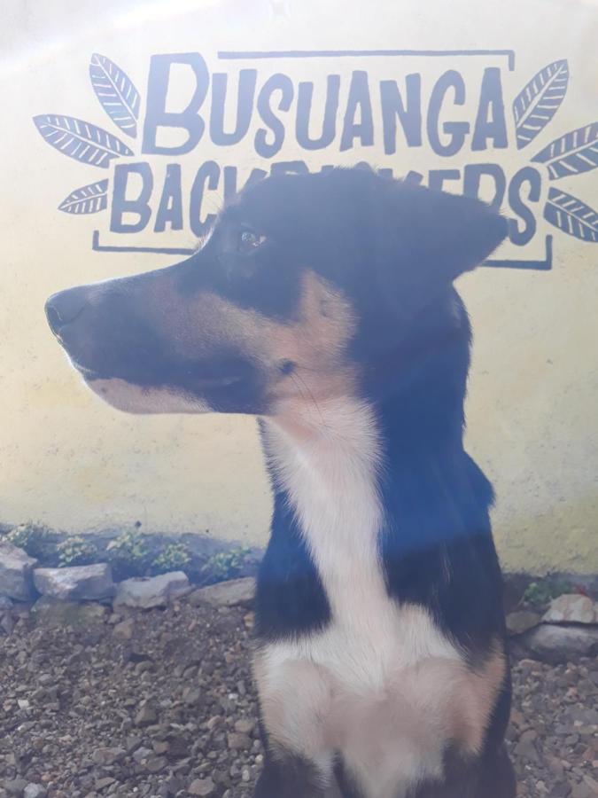 Busuanga Backpackers Hostel Concepcion  Exterior foto